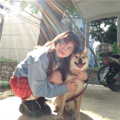 奔流犬：先生归来